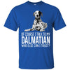 Dalmatian T Shirts Hoodie  Of Course I Talk To