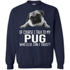 Pug T Shirts Hoodie  Of Course I Talk To