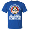 A Few Become Special Education Teachers Wonder Woman Teachers T Shirts Hoodie