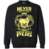 Pug T Shirts Hoodie  The Power Of A Woman With A Pug