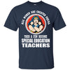 A Few Become Special Education Teachers Wonder Woman Teachers T Shirts Hoodie