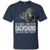 Dachshund T Shirts Hoodie  Of Course I Talk To