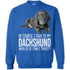 Dachshund T Shirts Hoodie  Of Course I Talk To