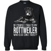 Rottweiler T Shirts Hoodie  Of Course I Talk To
