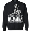 Dalmatian T Shirts Hoodie  Of Course I Talk To