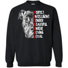 Pitbull T Shirts Hoodie  Pitbull Perfect Itelligent Tender Beautiful