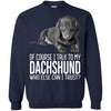 Dachshund T Shirts Hoodie  Of Course I Talk To