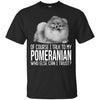 Pomeranian T Shirts Hoodie  Of Course I Talk To