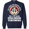 A Few Become Special Education Teachers Wonder Woman Teachers T Shirts Hoodie