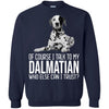 Dalmatian T Shirts Hoodie  Of Course I Talk To