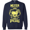 Pug T Shirts Hoodie  The Power Of A Woman With A Pug