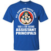 Wonder Woman Assistant Principals Woman T Shirts Hoodie
