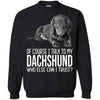 Dachshund T Shirts Hoodie  Of Course I Talk To