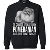 Pomeranian T Shirts Hoodie  Of Course I Talk To