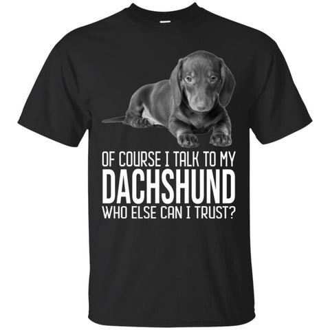 Dachshund T Shirts Hoodie  Of Course I Talk To
